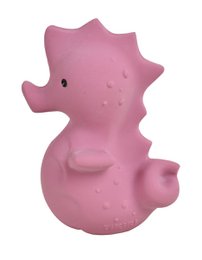 Mijn Eerste Oceaandiertje Zeepaard