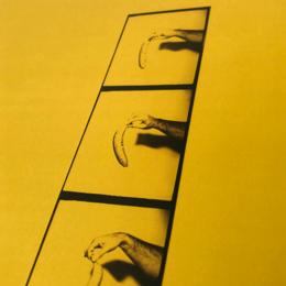 'Banana Pola' Print A4