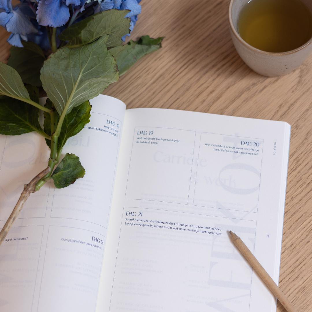 GROW: the 100 Days Journal.
