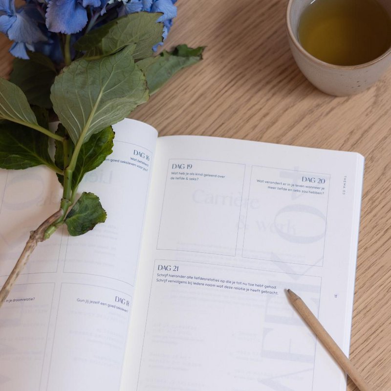 Grow: The 100 Days Journal.
