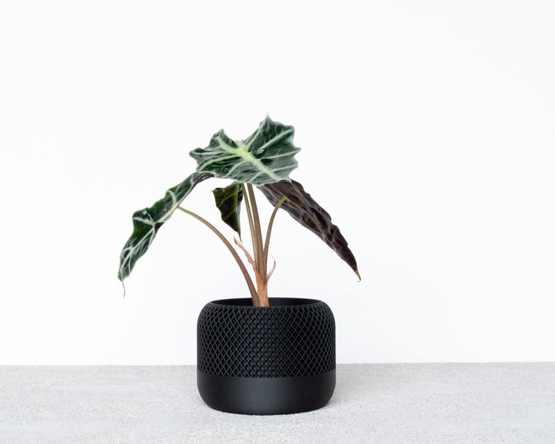 APPLE indendørs plantekasse
