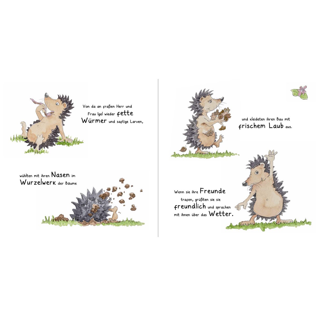 Die Geschichte von Herrn und Frau Igel