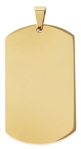 RVS gegraveerde hanger/hondenpenning met "Asha" accent, 50 x 29 mm, goudkleurig