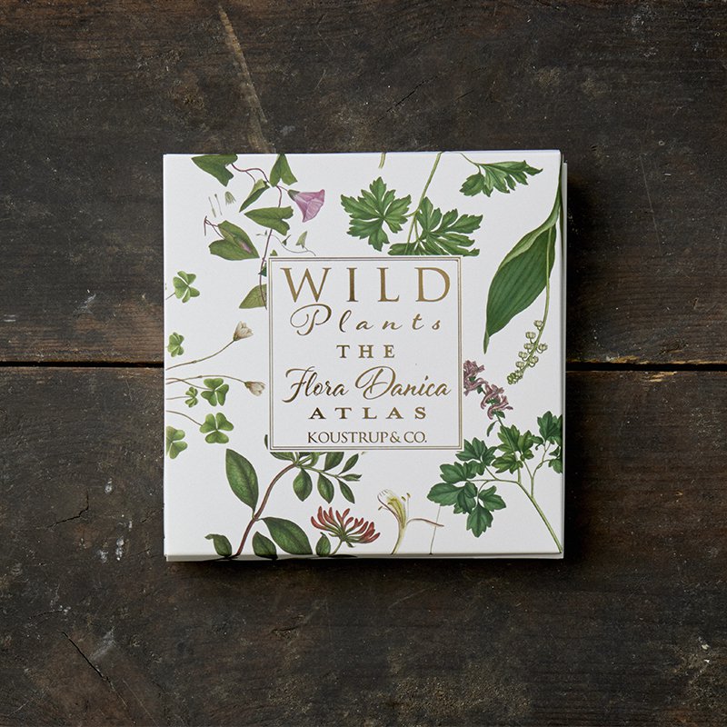 The Flora Danica Atlas - Wild plants - Square card folder