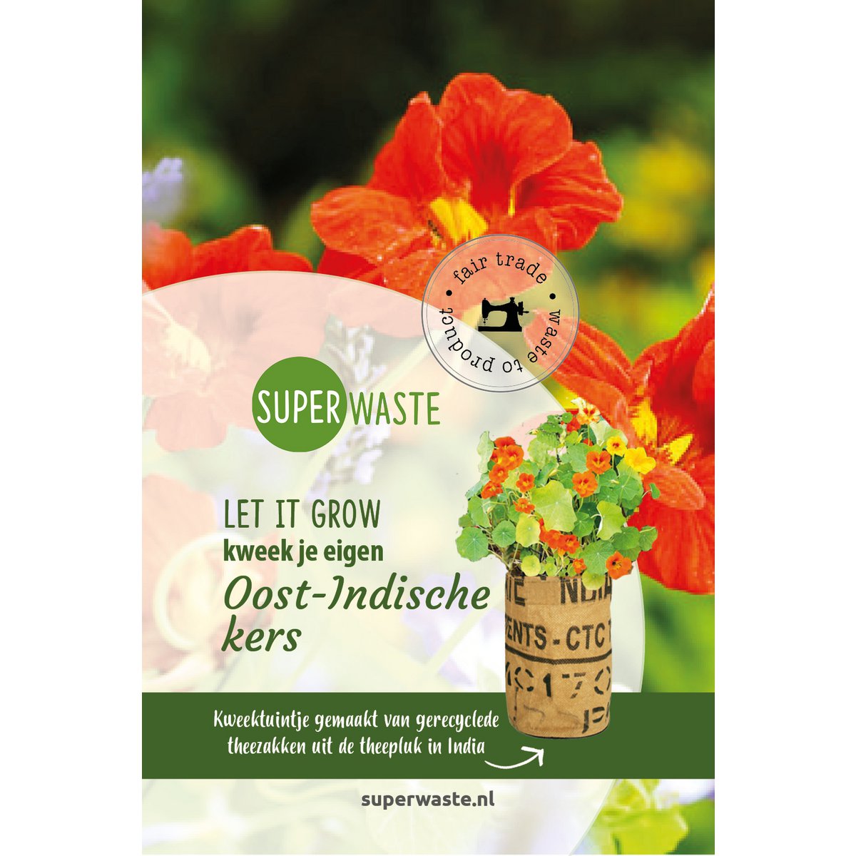 Let it Grow Nursery Garden - nasturtium