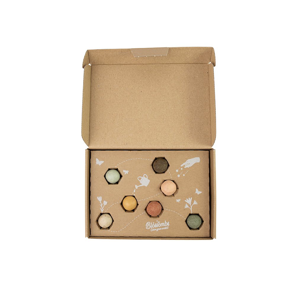 Kleine Geschenkbox mit 7 Samenbomben