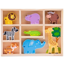 Safari Dieren in Box