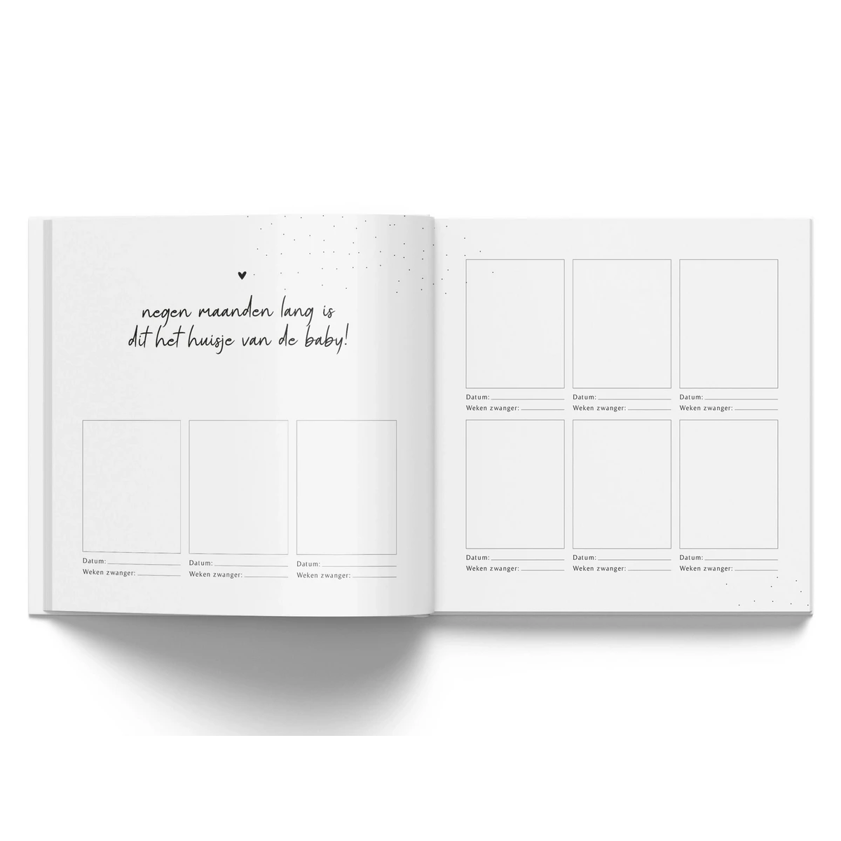 Fyllbooks Mijn zwangerschapsdagboek - Linnen Taupe