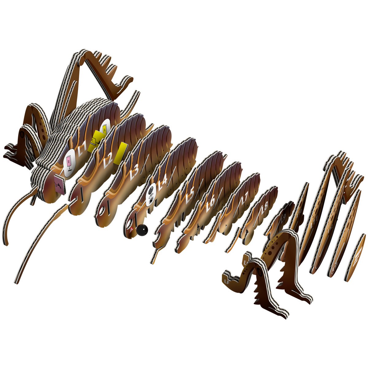 EUGY 3D Puzzle - Grasshopper