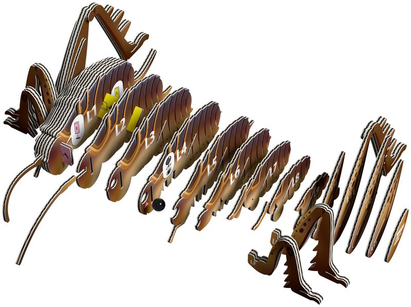 Puzzle 3D EUGY - Sauterelle