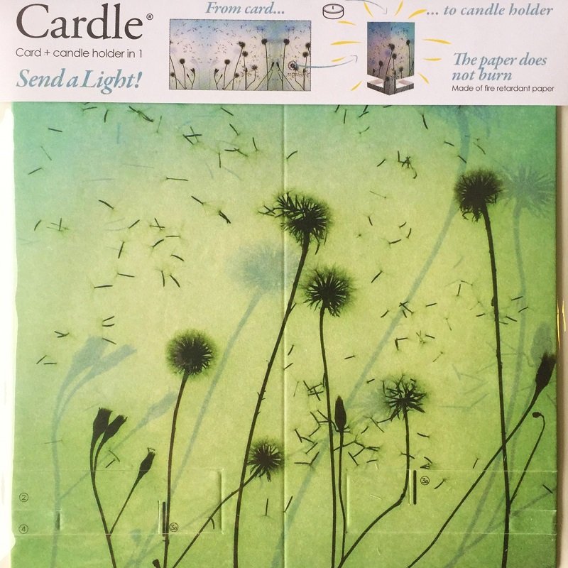 CARDLE Dawn (Breezily) - Candle Holder Greeting Card 