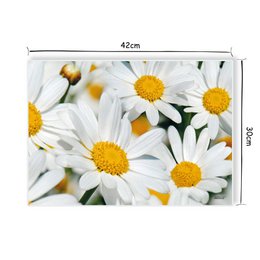Artipics placemats White Daisies 4 pieces placemats washable made of plastic each 42 x 30 cm placemats spring fresh table decoration kitchen/dining area/guests