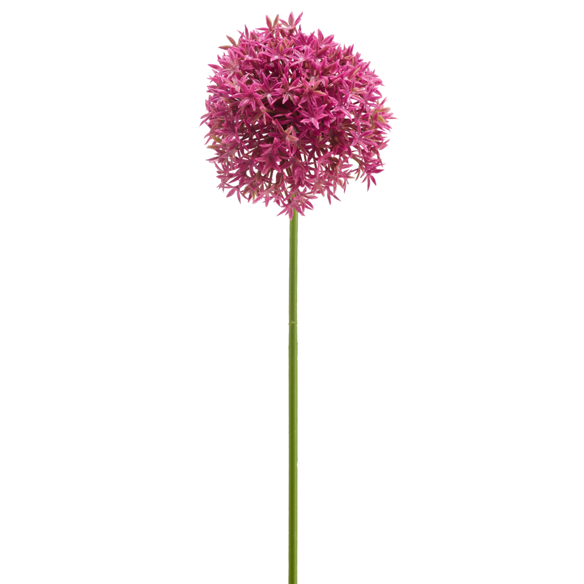 Fleur artificielle Mini Allium 60 cm mauve