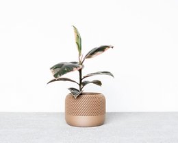 APPLE indendørs plantekasse