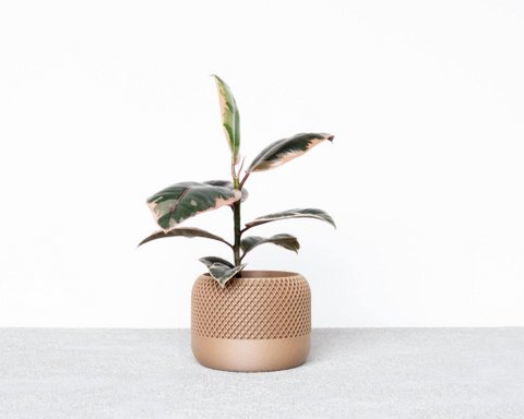 APPLE Indoor Planter
