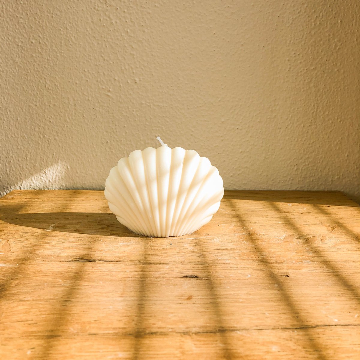 Muschelkerze
