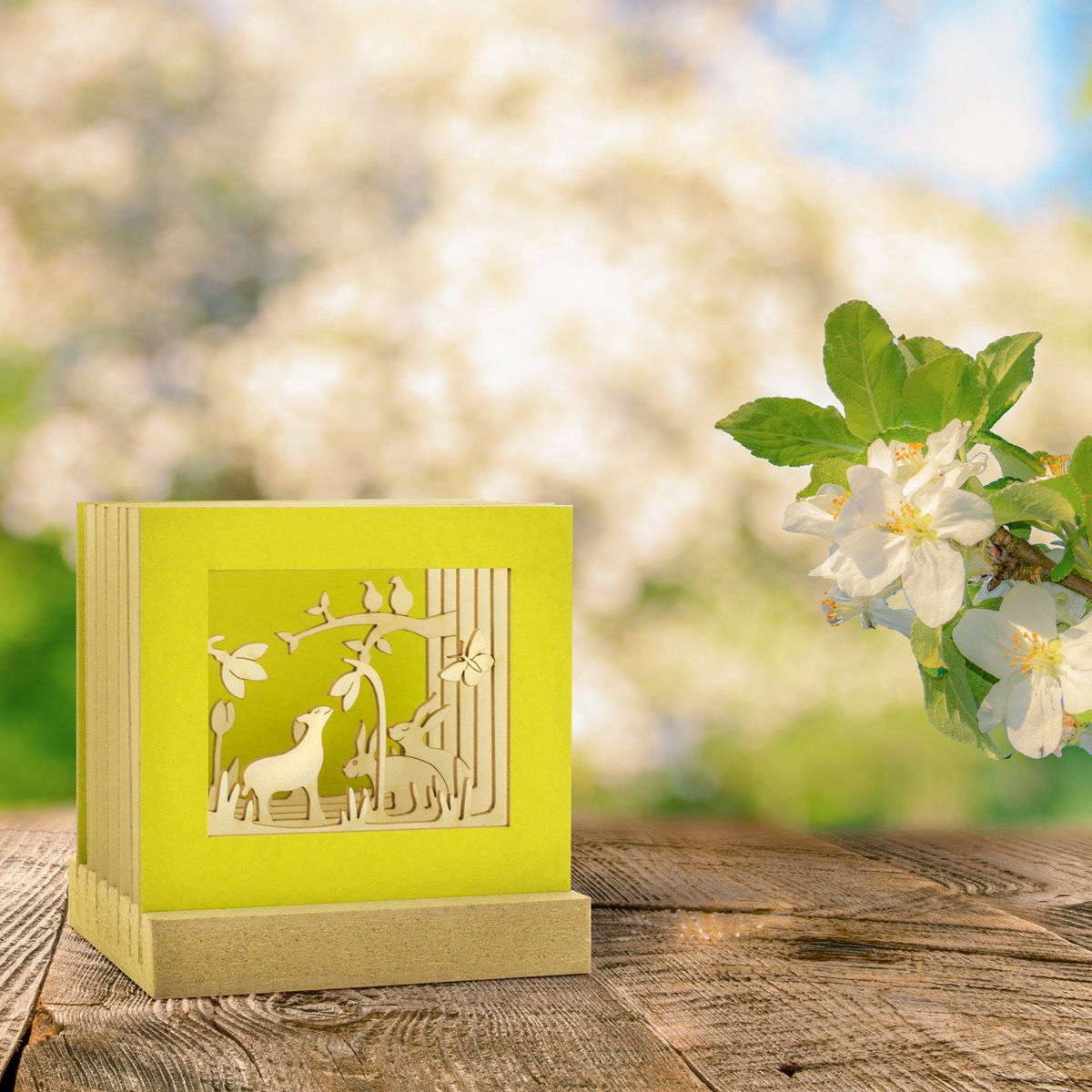 Frühlingsgefühle-Silhoubox M