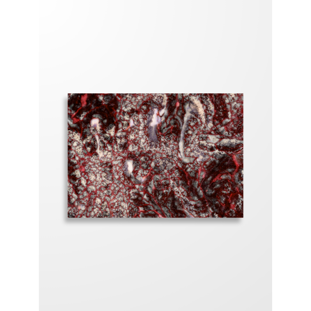 Sage — GIOMY Art Postcard