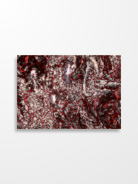 Sage — GIOMY Art Postcard