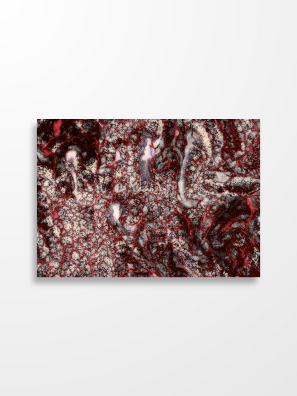 Sage — GIOMY Art Postcard