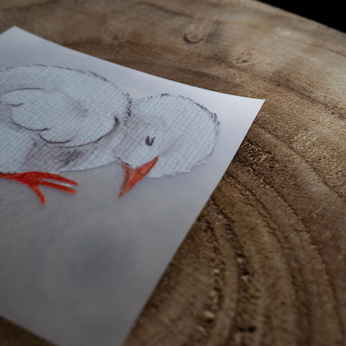 Iron-on picture »Chick«