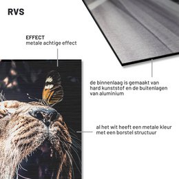 Vidunderligt liv 018