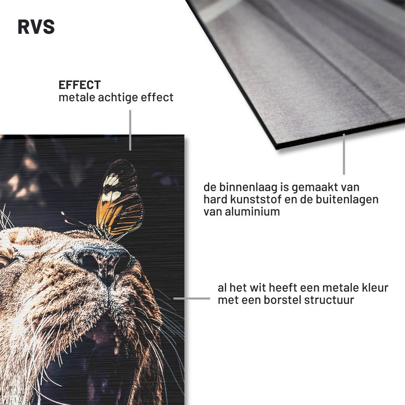 Vidunderligt liv 018