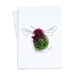 Ornamental garlic bumblebee
