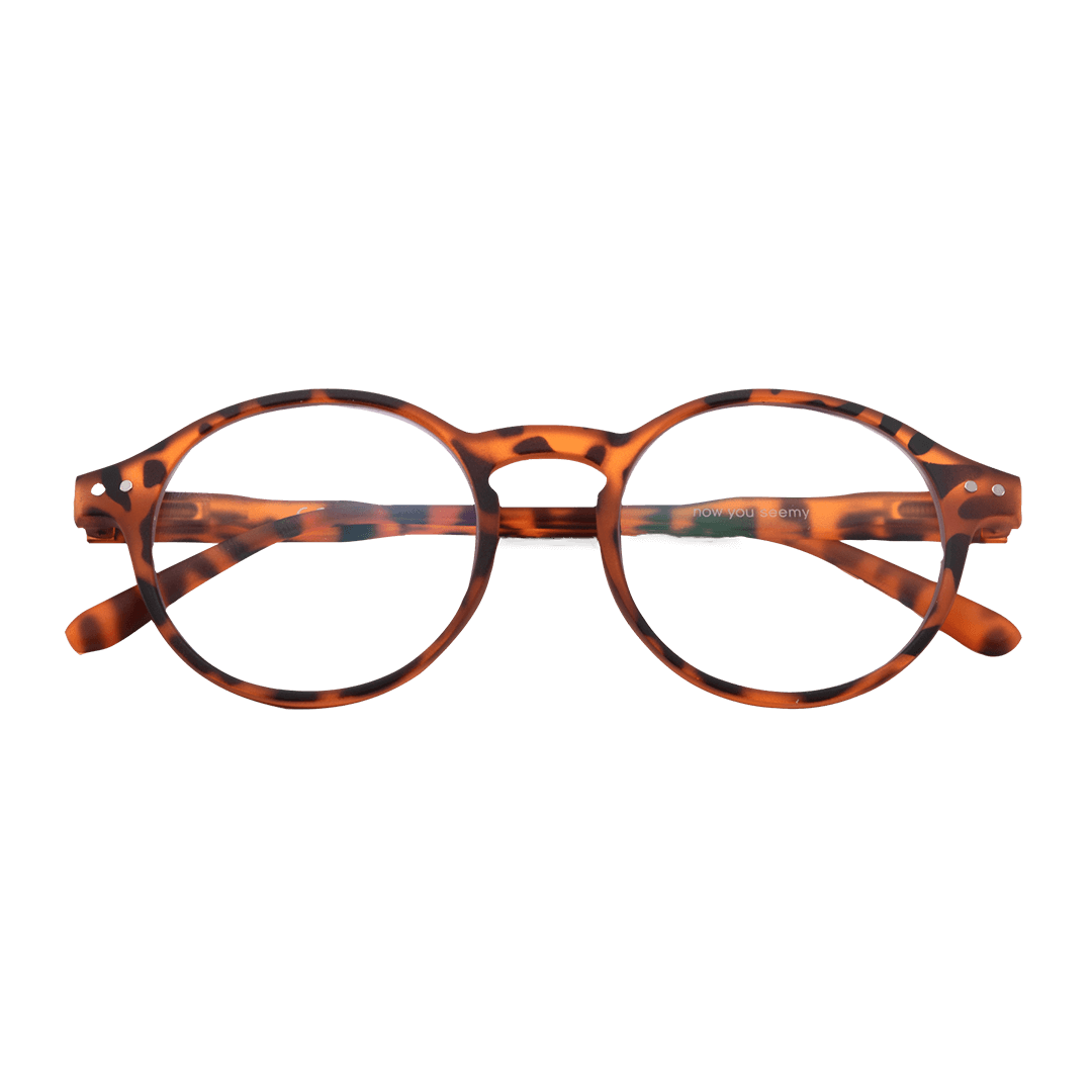 Tortoise - Computer Glasses