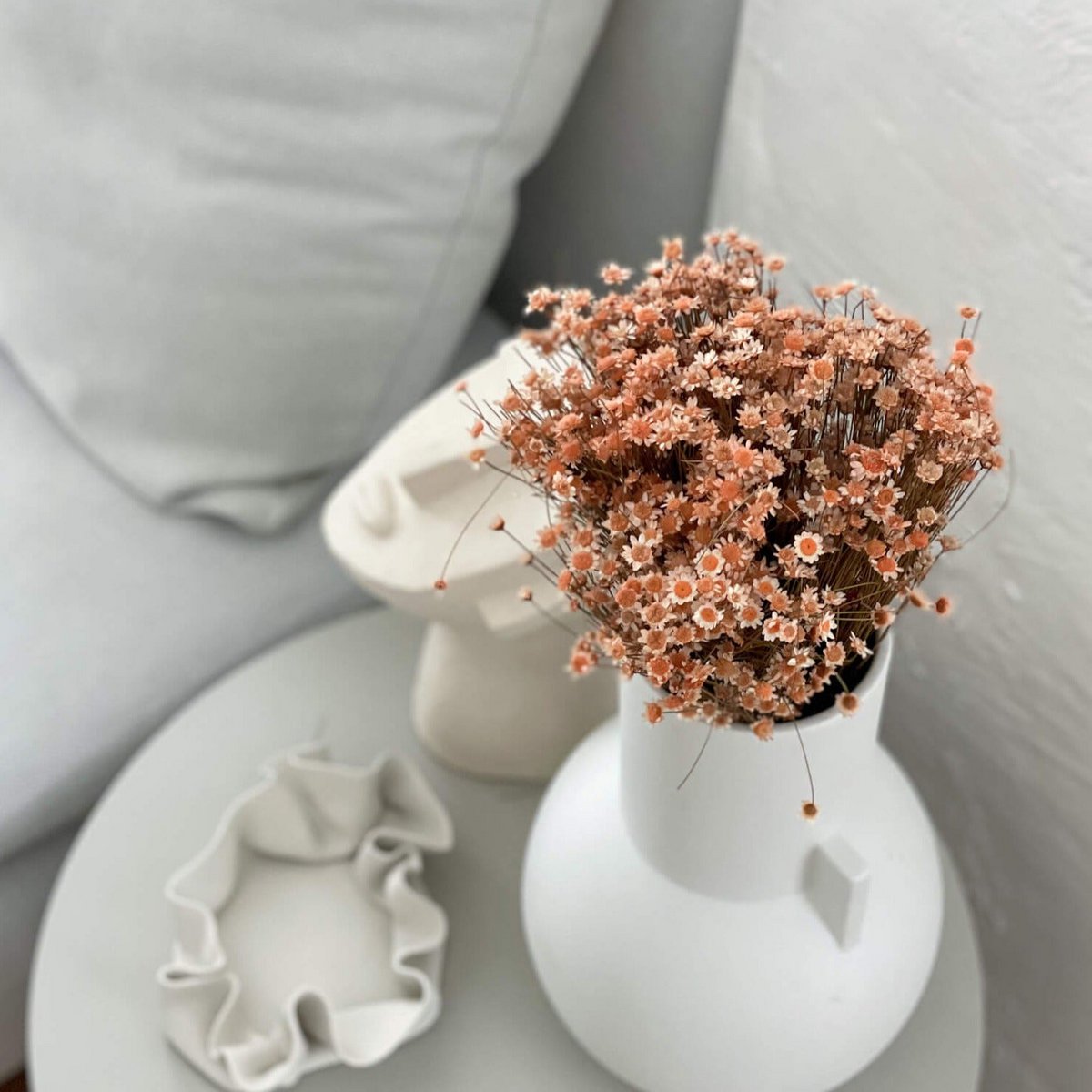 Glixia in diversity: Colorful dried flowers for creative decoration