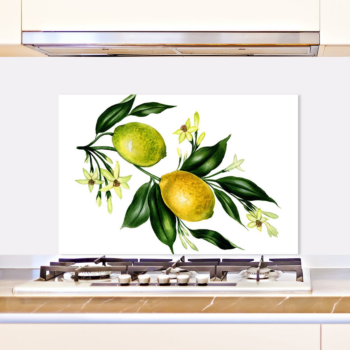 Splash guard - Lemontree