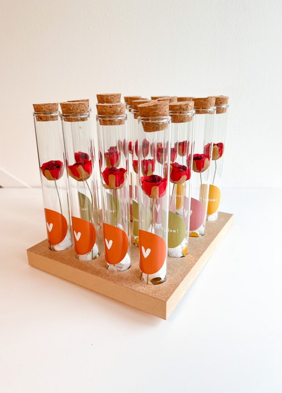 Gift tubes Roosje