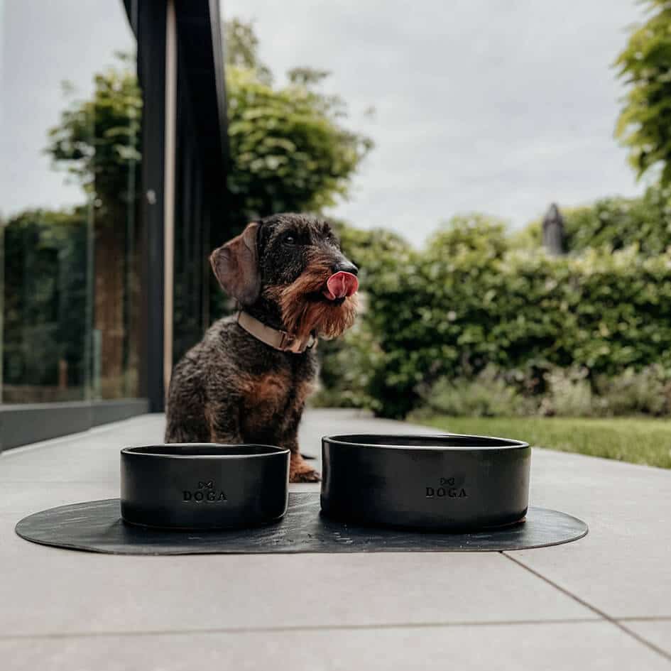 Tazón de comida para perros Etna negro