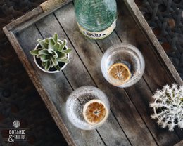 Confezione da 4 agrumi: fette di arancia, arancia rossa, lime e limone