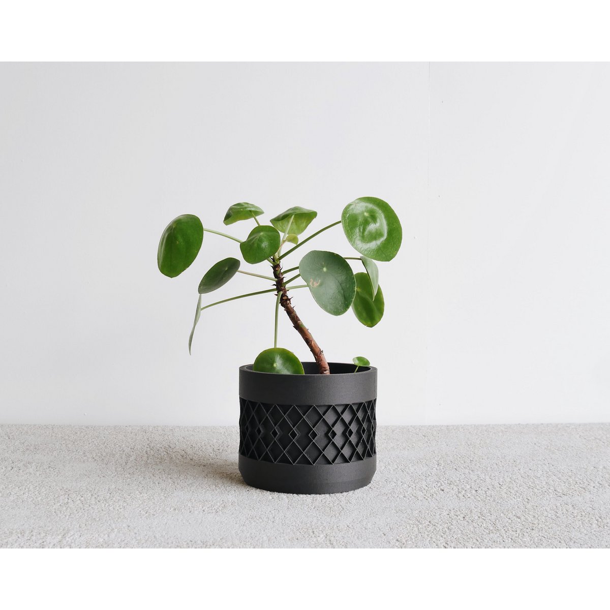 Black L - 12 cm diameter