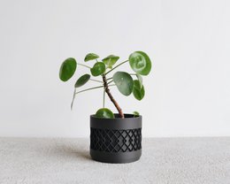 AZTEK indendørs plantekasse