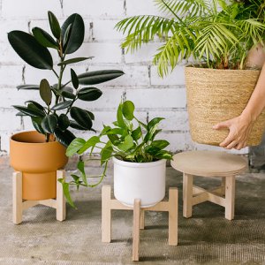Support for large pots - LA SELVA +