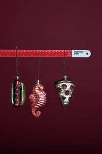PANTONE RULER 30CM