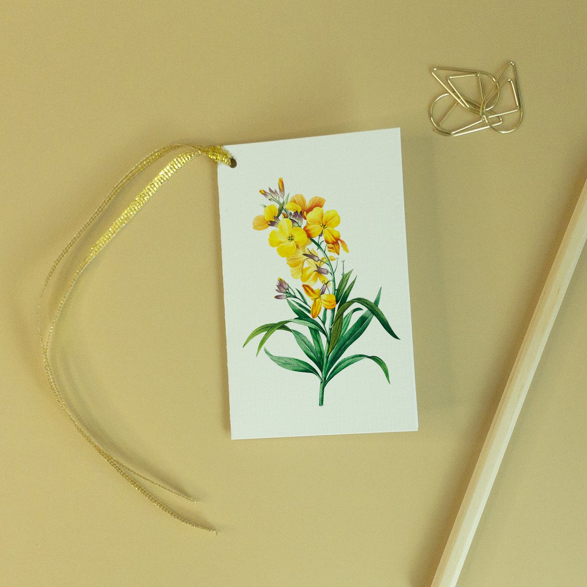 Geschenkanhänger Mix x8 Pack - Botanical Vintage