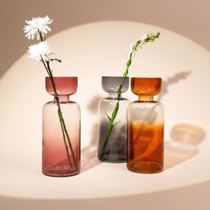 Vase | Handblown Tinted Grande Size Colors | Glass