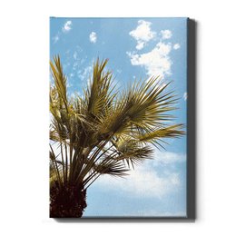 Beau palmier
