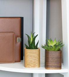 Square Planter