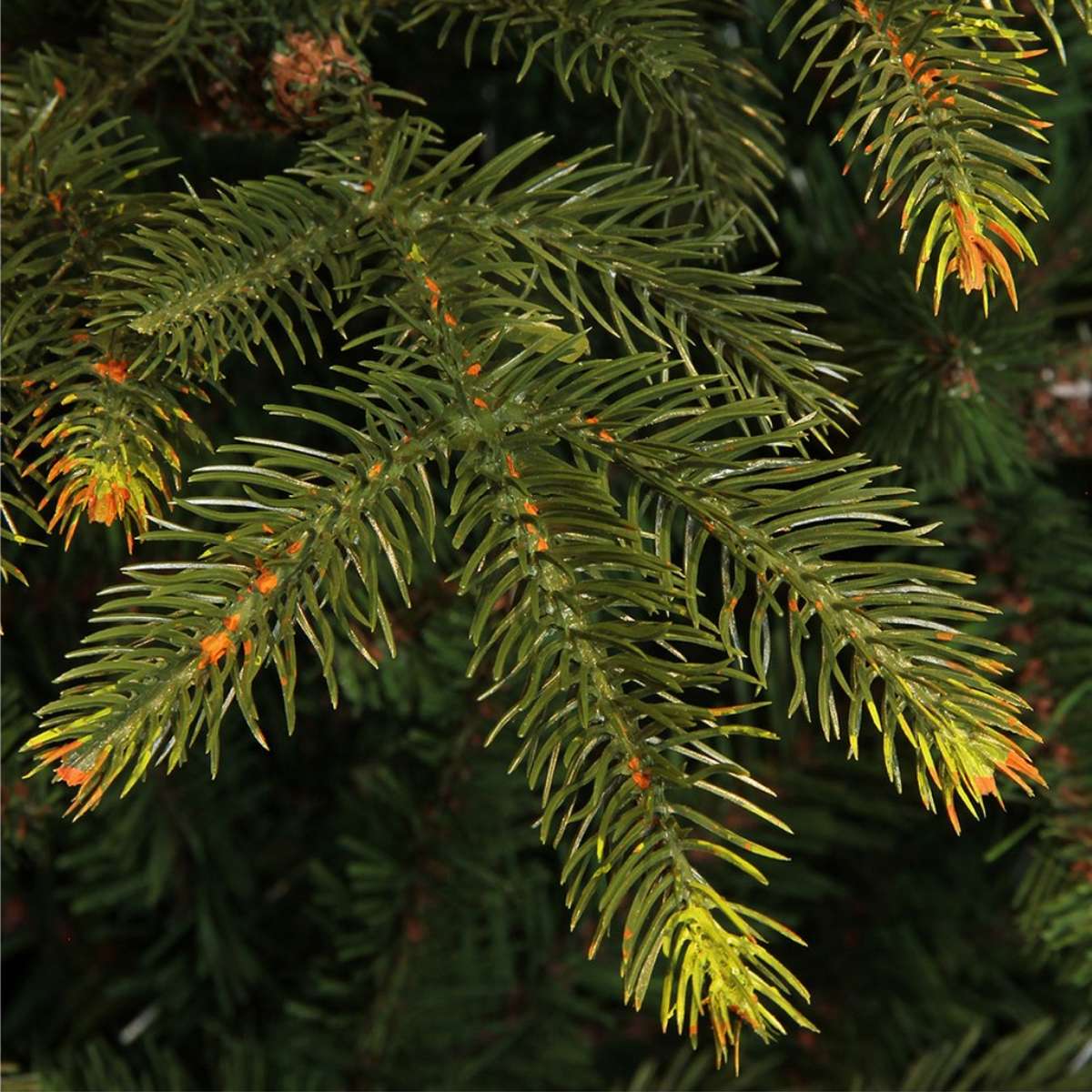 Árbol de Navidad artificial Vancouver Verde