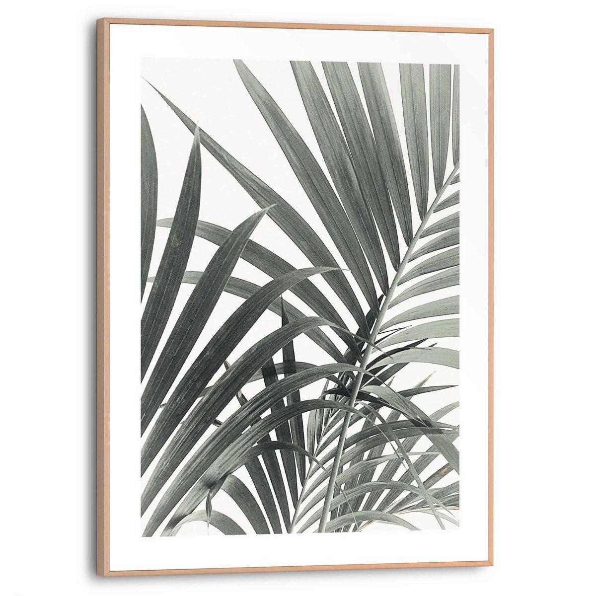 Tableau Slim Frame Feuilles de Palmier 40x30