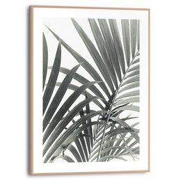 Gerahmtes Bild Slim Frame Palmenblätter 40x30