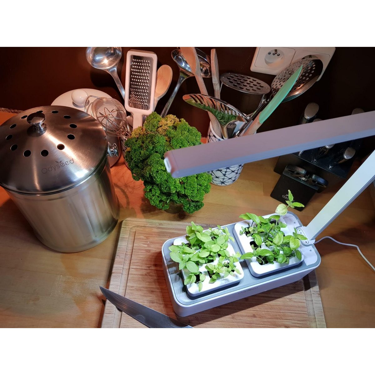 potager d'intérieur
