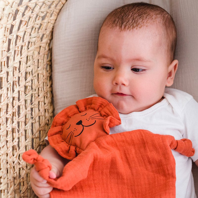 Doudou leone in cotone biologico