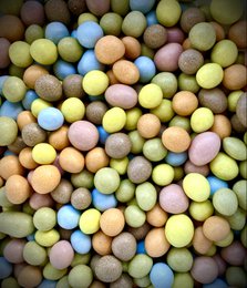 COQ 'N' SHUCK (Peanut Chocolate Dragee)