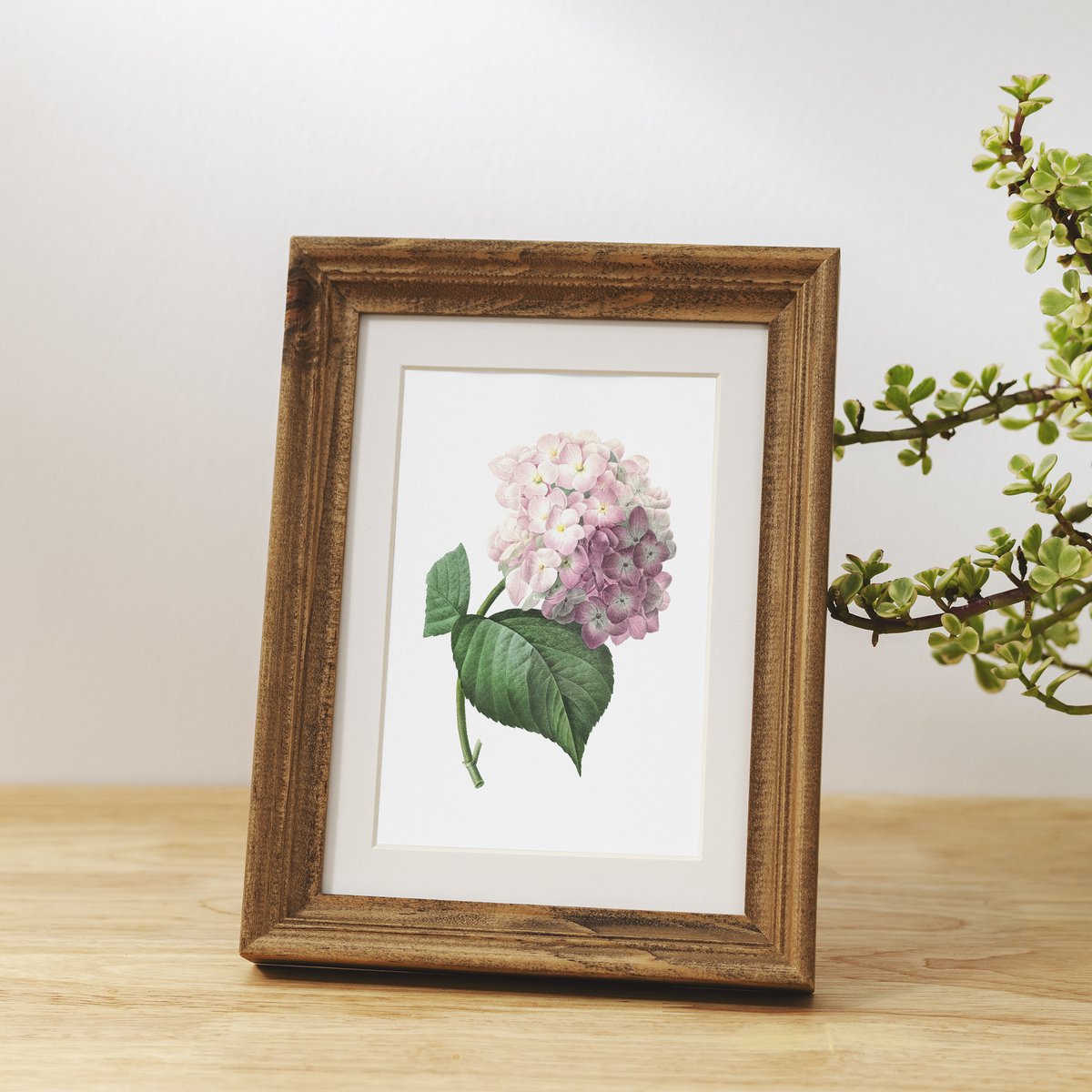 Botanische kunst print mix x16 | Vintage bloem illustratie | Kunst aan de muur
