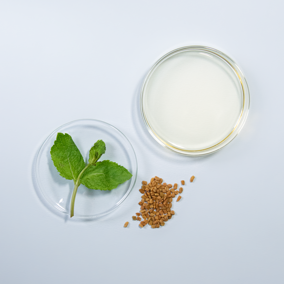 Fortifying Care Oil